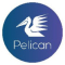 PELICAN FAXTEL TECHNOLOGIES LLP