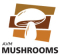 AVM MUSHROOM