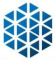 RISING FINANCIAL SERVICES Logo
