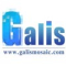 Foshan Galis Mosaic Co.,Ltd.