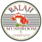 Balaji Mushroom Product