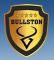 BULLSTON GROUP OF INDUSTRIES