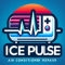 ICEPULSE TECHNOLOGIES INDIA PRIVATE..