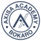 Axisa Academy Pvt Ltd Logo