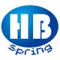Hb Spring Technology Limited