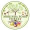 Moringa Food Forest