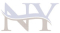 N Y ENTERPRISE