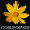 Coreopsis Fountain and Landscaping Private Limited Logo