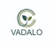 VADALO VENTURES PRIVATE LIMITED