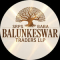 SRPS BABA BALUNKESWAR TRADERS LLP