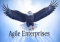AGILE ENTERPRISES