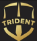 Trident Enterprises