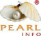 Add PearlInfo Pvt. Ltd.