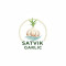 Satvik Traders Logo