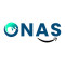 Onas Consulting Services Logo