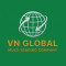 V N Global