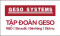 GESO SYSTEMS