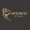 Spa Nest kiwalePune