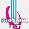 EVEREST METAL Logo