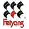Zhuhai Feiyang Chemial Co. Ltd