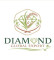 Diamond Global Export
