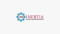 Inertia Electric Motor Solutions