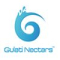 M S Gulati Nectars