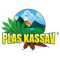Plas Kassav Inc. Logo
