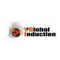 Global Induction Ltd.