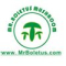 Mr Boletus Mushroom Industry Co. Ltd.