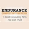 Endurance Consultant Services Ltd Logo