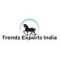 TRENDZ EXPORTS (INDIA) Logo