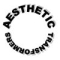 Aesthetic Transformers