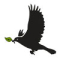 Black Bird Products Logo