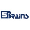 Five Brains ERP Solutions