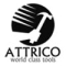 Attrico Engineering ( India) Private..