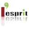 Lesprit Business Solutions Pvt Ltd