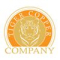 Tiger Copper Company Limited