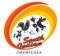 South Indian Chemicals