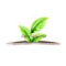 Shaanxi Pure Source Bio-tech Co.,Ltd.