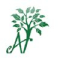 Anil Nursery & Contractor Logo