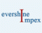 Evershine Impex