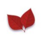 Red Leaf Metal Curtain Co., Ltd.