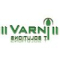 Varni It Solutions Logo