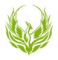 Phoenix Empower Export Logo
