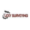 Lexy Surveying Ltd