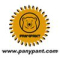Panypant
