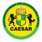 caeser investment(HK) ltd.