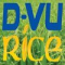 D-VU RICE Company