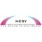 MESY Group